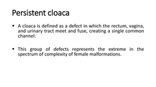 Persistent cloaca
 A cloaca is defined as a defect in which the rectum, vagina,
and urinary tract meet and fuse, creating a single common
channel.
 This group of defects represents the extreme in the
spectrum of complexity of female malformations.
 