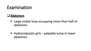 Examination
Abdomen
 Large visible loop occupying more than half of
abdomen
 Hydrocolpos(in girl) – palpable lump in lower
abdomen
 