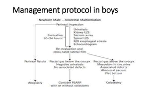 Management protocol in boys
 