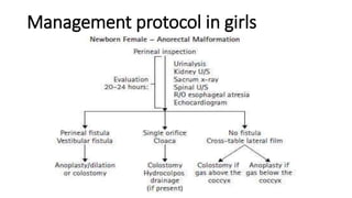 Management protocol in girls
 