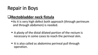 Repair in Boys
Rectobladder neck fistula
As it is very high defect both approach (through perineum
and through abdomen) is needed.
 A plasty of the distal dilated portion of the rectum is
necessary in some cases to reach the perineal skin.
 It is also called as abdomino perineal pull through
operation.
 