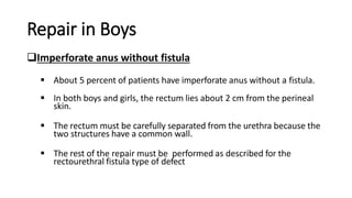 Repair in Boys
Imperforate anus without fistula
 About 5 percent of patients have imperforate anus without a fistula.
 In both boys and girls, the rectum lies about 2 cm from the perineal
skin.
 The rectum must be carefully separated from the urethra because the
two structures have a common wall.
 The rest of the repair must be performed as described for the
rectourethral fistula type of defect
 