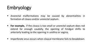Embryology
 Anorectal malformations may be caused by abnormalities in
formation of cloaca and/or urorectal septum.
 For example, if the cloaca is too small or urorectal septum does not
extend far enough caudally, the opening of hindgut shifts to
anteriorly leading to the opening in urethra or vagina.
 Imperforate anus occurs when cloacal membrane fails to breakdown.
 