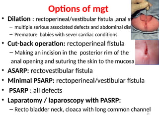 Anorectal Malformation soll.pptxAnorectal Malformation soll.pptx