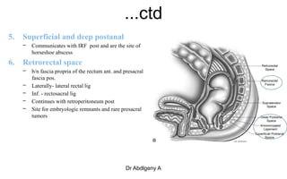 Anorectem and Pelvic floor Anatomy . ABD.pptx