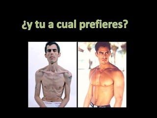 ¿y tu a cual prefieres?