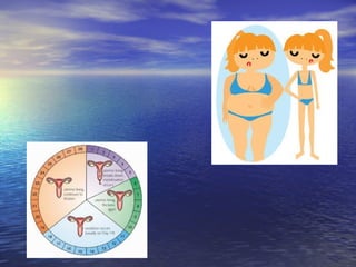 Anorexia &amp; menstrual cycle