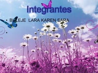 BULIMIADRA. MISSIAGGIA ELAINE.