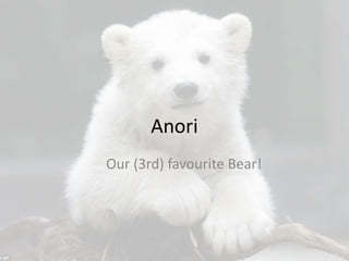 Anori
Our (3rd) favourite Bear!
 