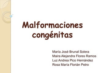 Malformaciones
  congénitas
      María José Brunal Solera
      Maira Alejandra Flores Ramos
      Luz Andrea Pico Hernández
      Rosa María Florián Petro
 