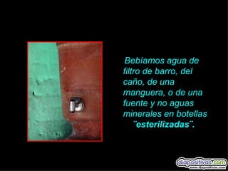Bebíamos agua de
filtro de barro, del
caño, de una
manguera, o de una
fuente y no aguas
minerales en botellas
    ¨esterilizadas¨.
 