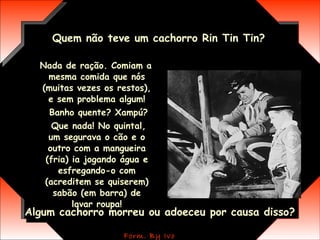 Nada de ração. Comiam a mesma comida que nós (muitas vezes os restos), e sem problema algum! Banho quente? Xampú? Que nada! No quintal, um segurava o cão e o outro com a mangueira (fria) ia jogando água e esfregando-o com (acreditem se quiserem) sabão (em barra) de lavar roupa! Algum cachorro morreu ou adoeceu por causa disso? Quem não teve um cachorro Rin Tin Tin? 