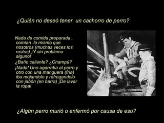 Nada de comida preparada , com í an  lo mismo que nosotros (muchas veces los restos)  ¡Y  sin problema alguno! ¿ Ba ñ o caliente?  ¿Ch ampú? ¡N ada! Uno agarraba al perro y otro con una manguera (fr í a) iba mojandolo y refregandolo con jab ón  (en barra)  ¡D e lavar la ropa! ¿ Alg ún  perro muri ó  o enferm ó  por causa de eso? ¿ Qui én  no deseó tener  un cachorro de perro? 