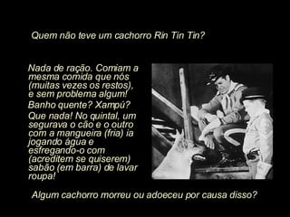 Nada de ração. Comiam a mesma comida que nós (muitas vezes os restos), e sem problema algum! Banho quente? Xampú? Que nada! No quintal, um segurava o cão e o outro com a mangueira (fria) ia jogando água e esfregando-o com (acreditem se quiserem) sabão (em barra) de lavar roupa! Algum cachorro morreu ou adoeceu por causa disso? Quem não teve um cachorro Rin Tin Tin? 