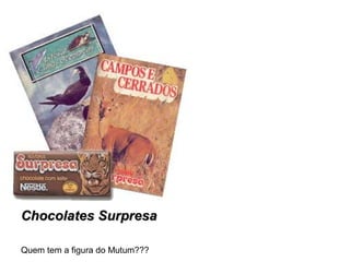Chocolates Surpresa
Quem tem a figura do Mutum???

 