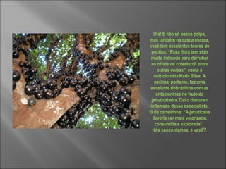 Ufa! E não só nessa polpa, mas também na casca escura, você tem excelentes teores de pectina. “Essa fibra tem sido muito indicada para derrubar os níveis de colesterol, entre outras coisas”, conta a nutricionista Karla Silva. A pectina, portanto, faz uma excelente dobradinha com as antocianinas no fruto da jabuticabeira. Daí o discurso inflamado dessa especialista, fã de carteirinha: “A jabuticaba deveria ser mais valorizada, consumida e explorada”.  Nós concordamos, e você?  