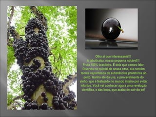 Olha aí que interessante!!!  A jabuticaba, nossa pequena notável!!!  Fruta 100% brasileira. É dela que vamos falar. Discreta no quintal de nossa casa, ela contém teores espantosos de substâncias protetoras do peito. Ganha até da uva, e provavelmente do vinho, que é festejado no mundo inteiro por evitar infartos. Você vai conhecer agora uma revelação científica, e das boas, que acaba de cair do pé!  
