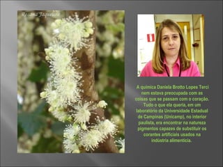 A química Daniela Brotto Lopes Terci nem estava preocupada com as coisas que se passam com o coração. Tudo o que ela queria, em um laboratório da Universidade Estadual de Campinas (Unicamp), no interior paulista, era encontrar na natureza pigmentos capazes de substituir os corantes artificiais usados na indústria alimentícia.  