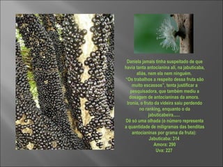 Daniela jamais tinha suspeitado de que havia tanta antocianina ali, na jabuticaba, aliás, nem ela nem ninguém.  “ Os trabalhos a respeito dessa fruta são muito escassos”, tenta justificar a pesquisadora, que também mediu a dosagem de antocianinas da amora.  Ironia, o fruto da videira saiu perdendo no ranking, enquanto o da jabuticabeira......  Dê só uma olhada (o número representa a quantidade de miligramas das benditas antocianinas por grama da fruta):  Jabuticaba: 314  Amora: 290 Uva: 227  