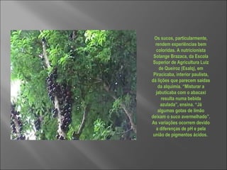 Os sucos, particularmente, rendem experiências bem coloridas. A nutricionista Solange Brazaca, da Escola Superior de Agricultura Luiz de Queiroz (Esalq), em Piracicaba, interior paulista, dá lições que parecem saídas da alquimia. “Misturar a jabuticaba com o abacaxi resulta numa bebida azulada”, ensina. “Já algumas gotas de limão deixam o suco avermelhado”. As variações ocorrem devido a diferenças de pH e pela união de pigmentos ácidos.  