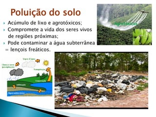 Poluição do solo
 Acúmulo de lixo e agrotóxicos;
 Compromete a vida dos seres vivos
de regiões próximas;
 Pode contaminar a água subterrânea
= lençois freáticos.
 