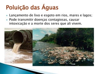 Poluição das Águas
 Lançamento de lixo e esgoto em rios, mares e lagos;
 Pode transmitir doenças contagiosas, causar
intoxicação e a morte dos seres que ali vivem.
 