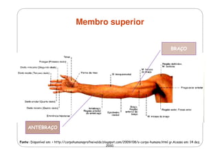 Membro superior

!
"

"#

$

 
