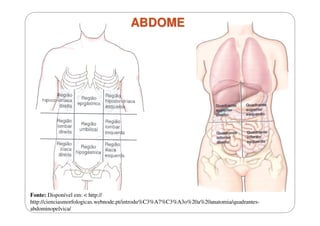 ABDOME

Fonte: Disponível em: < http://
http://cienciasmorfologicas.webnode.pt/introdu%C3%A7%C3%A3o%20a%20anatomia/quadrantesabdominopelvica/

 