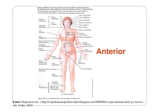 Anterior

Fonte: Disponível em: < http://corpohumanoprofneivaldo.blogspot.com/2009/08/o-corpo-humano.html g>.Acesso
em: 14 dez. 2010.

 
