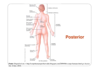 Posterior

Fonte: Disponível em: < http://corpohumanoprofneivaldo.blogspot.com/2009/08/o-corpo-humano.html g>.Acesso
em: 14 dez. 2010.

 