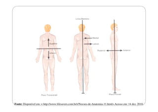Fonte: Disponível em: < http://www.lifesavers.com.br/r/Nocoes-de-Anatomia-11.html>.Acesso em: 14 dez. 2010.

 