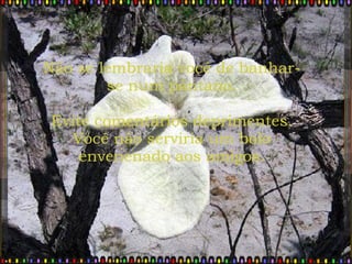 Não se lembraria você de banhar-se num pântano. Evite comentários deprimentes. Você não serviria um bolo envenenado aos amigos. 