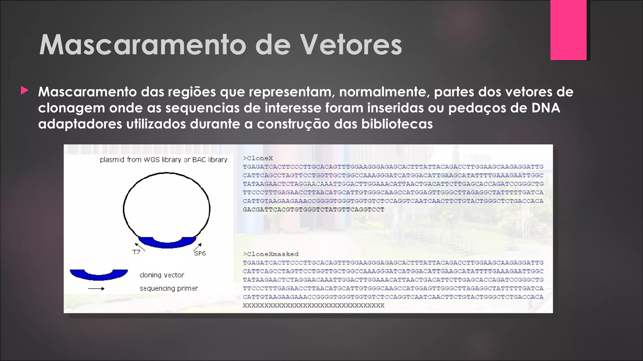 Mascaramento de Vetores
 Mascaramento das regiões que representam, normalmente, partes dos vetores de
clonagem onde as sequencias de interesse foram inseridas ou pedaços de DNA
adaptadores utilizados durante a construção das bibliotecas
 