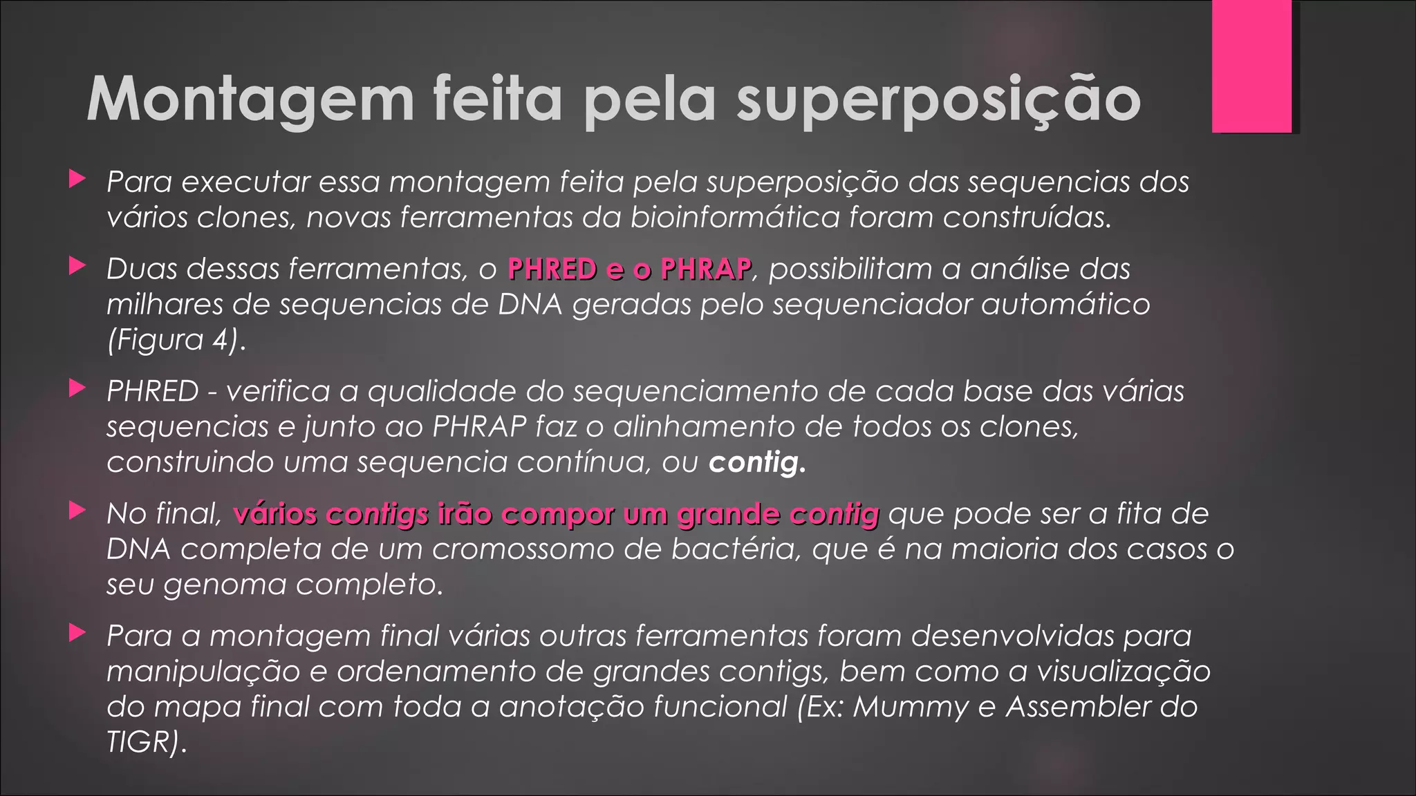 Montagem feita pela superposição
 Para executar essa montagem feita pela superposição das sequencias dos
vários clones, novas ferramentas da bioinformática foram construídas.
 Duas dessas ferramentas, o PHRED e o PHRAPPHRED e o PHRAP, possibilitam a análise das
milhares de sequencias de DNA geradas pelo sequenciador automático
(Figura 4).
 PHRED - verifica a qualidade do sequenciamento de cada base das várias
sequencias e junto ao PHRAP faz o alinhamento de todos os clones,
construindo uma sequencia contínua, ou contig.
 No final, váriosvários contigscontigs irão compor um grandeirão compor um grande contigcontig que pode ser a fita de
DNA completa de um cromossomo de bactéria, que é na maioria dos casos o
seu genoma completo.
 Para a montagem final várias outras ferramentas foram desenvolvidas para
manipulação e ordenamento de grandes contigs, bem como a visualização
do mapa final com toda a anotação funcional (Ex: Mummy e Assembler do
TIGR).
 