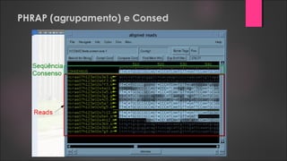 PHRAP (agrupamento) e Consed
 