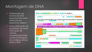 Montagem de DNA
 Ordenação dos
trechos de DNA
sequenciados para
obtenção da
sequencia original
 Inclui verificação de
qualidade de bases,
marcação de
vetores,
comparação entre
clones e formação
de contíguos ate se
obter o final
 
