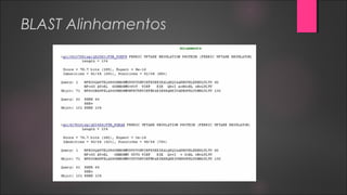 BLAST Alinhamentos
 
