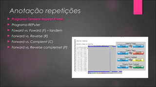 Anotação repetições
 Programa Tandem Repeat FinderPrograma Tandem Repeat Finder
 Programa REPuter
 Foward vs. Foward (F) – tandem
 Forward vs. Reverse (R)
 Forward vs. Complemt (C)
 Forward vs. Reverse complemet (P)
 