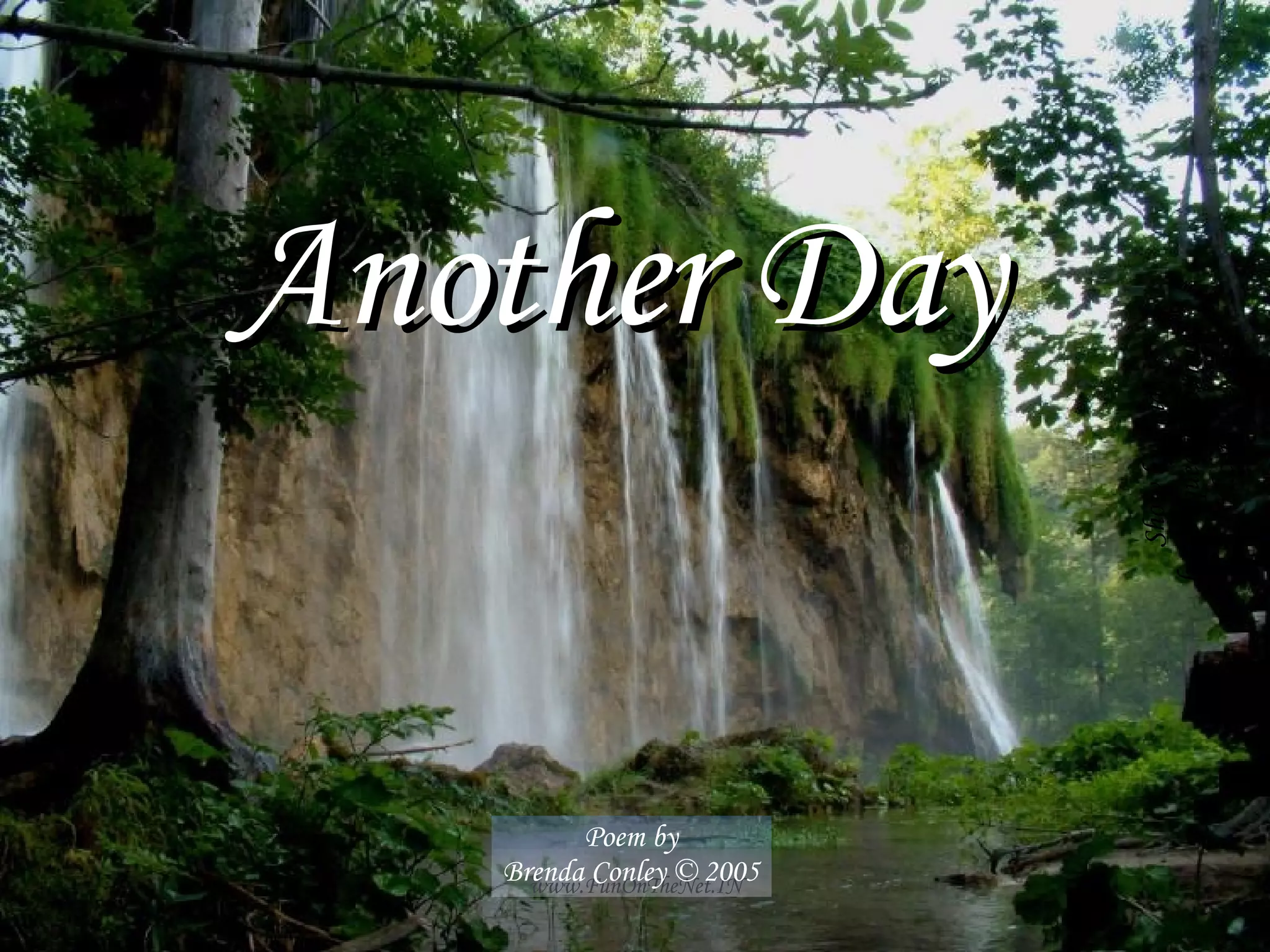 Another Day  Poem by Brenda Conley © 2005 Show by Cindy [email_address] 