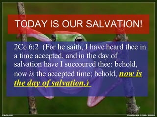 TODAY IS OUR SALVATION! 2Co 6:2  (For he saith, I have heard thee in a time accepted, and in the day of salvation have I succoured thee: behold, now  is  the accepted time; behold,  now is the day of salvation.)  