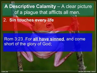 A Descriptive Calamity  – A clear picture of a plague that afflicts all men.   2.  Sin touches every life   Rom 3:23  For  all have sinned , and come short of the glory of God;  