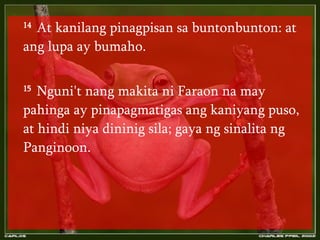 Another Night With The Frogs Tagalog | PPT