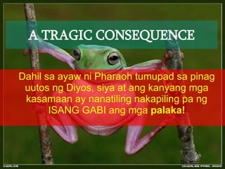 Another Night With The Frogs Tagalog | PPT