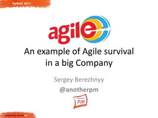 An example of Agile survival
     in a big Company
       Sergey Berezhnyy
         @anotherpm
 