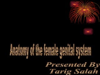 Anatomy of the female genital system Presented By Tarig Salah 