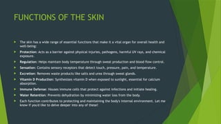 Skin Anatomy: A Detailed Guide to Layers, Structure, and Functions