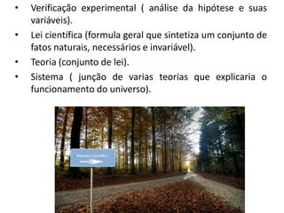 Verificação experimental ( análise da hipótese e suas variáveis).Lei científica (formula geral que sintetiza um conjunto de fatos naturais, necessários e invariável). Teoria (conjunto de lei).Sistema ( junção de varias teorias que explicaria o funcionamento do universo).