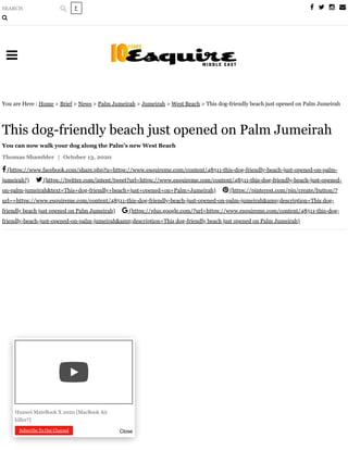   
 (https://www.facebook.com/share.php?u=https://www.esquireme.com/content/48511-this-dog-friendly-beach-just-opened-on-palm-
jumeirah?)  (https://twitter.com/intent/tweet?url=https://www.esquireme.com/content/48511-this-dog-friendly-beach-just-opened-
on-palm-jumeirah&text=This+dog-friendly+beach+just+opened+on+Palm+Jumeirah)  (https://pinterest.com/pin/create/button/?
url==https://www.esquireme.com/content/48511-this-dog-friendly-beach-just-opened-on-palm-jumeirah&amp;description=This dog-
friendly beach just opened on Palm Jumeirah)  (https://plus.google.com/?url=https://www.esquireme.com/content/48511-this-dog-
friendly-beach-just-opened-on-palm-jumeirah&amp;description=This dog-friendly beach just opened on Palm Jumeirah)
You are Here : Home > Brief > News > Palm Jumeirah > Jumeirah > West Beach > This dog-friendly beach just opened on Palm Jumeirah
This dog-friendly beach just opened on Palm Jumeirah
You can now walk your dog along the Palm’s new West Beach
Thomas Shambler | October 13, 2020

‫ع‬SEARCH

loading
Huawei MateBook X 2020 [MacBook Air
killer?]
CloseSubscribe To Our Channel
 