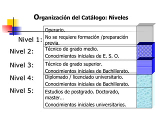 O rganización del Catálogo: Niveles Nivel 2: Nivel 5: Nivel 4: Nivel 3: Nivel 1: Operario. No se requiere formación /preparación previa. Estudios de postgrado. Doctorado, master… Conocimientos iniciales universitarios. Diplomado / licenciado universitario. Conocimientos iniciales de Bachillerato. Técnico de grado medio. Conocimientos iniciales de E. S. O. Técnico de grado superior. Conocimientos iniciales de Bachillerato. 