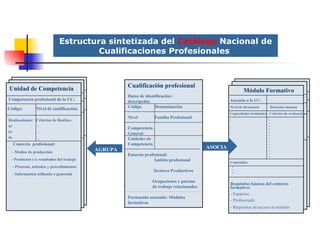 Estructura sintetizada del  Catálogo  Nacional de Cualificaciones Profesionales  AGRUPA ASOCIA Código:  Nivel de cualificación - - - Código:  Nivel de cualificación - - - Unidad de Competencia Competencia profesional de la UC: Realizaciones:  Criterios de Realiza.: R1 R2 Rn Contexto  profesional: -  Medios de producción  - Productos y/o resultados del trabajo - Procesos, métodos y procedimientos - Información utilizada o generada Código:  Nivel de cualificación: - - - Código:  Nivel de cualificación - - - Código:  Nivel de cualificación - - - Módulo Formativo Contenidos  Requisitos básicos del contexto  formativo: - Espacios: - Profesorado: - Requisitos de acceso al módulo: Asociado a la UC: Nivel de formación   Duración mínima Capacidades terminales  Criterios de evaluación -   - - - - - - - - - - - - - - - - - - - - Cualificación profesional Datos de identificación / descripción Código  Denominación Nivel  Familia Profesional Competencia General Unidades de Competencia Entorno profesional: Ámbito profesional Sectores Productivos Ocupaciones y puestos de trabajo  relacionados Formación asociada : Módulos formativos 
